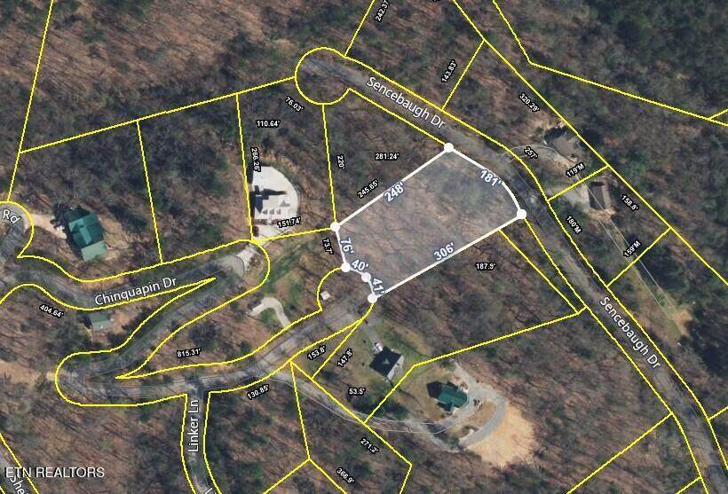  Chinquapin - Photo 1