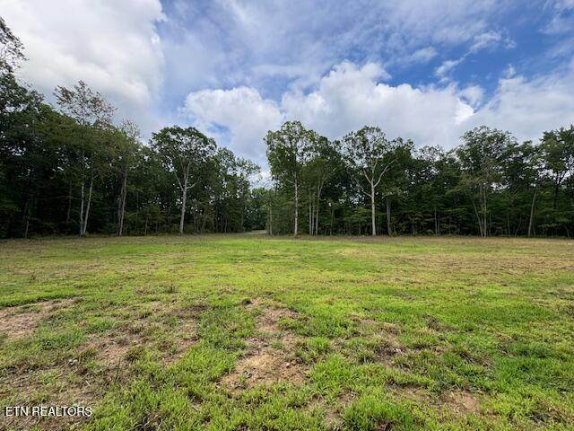 545 Shelby Way - Photo 1