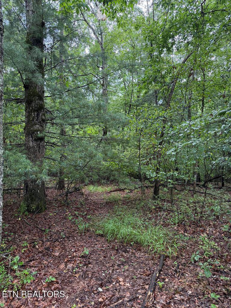 929 Kemah Ln - Photo 1