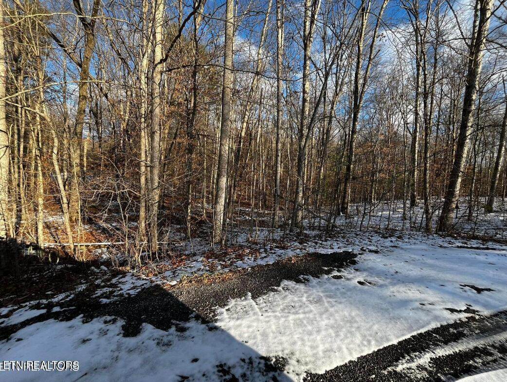  Lot 4 Evergreen Drive - Photo 1