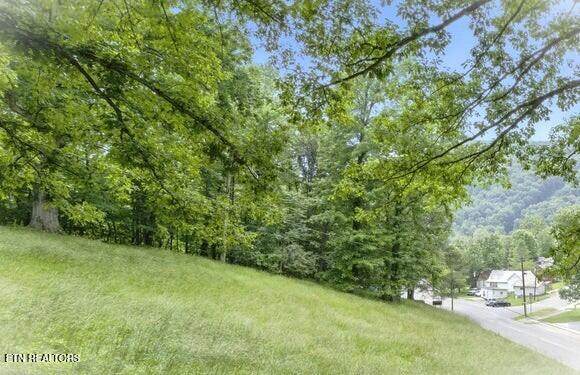 Lot TractD Hillcrest Drive - Photo 1