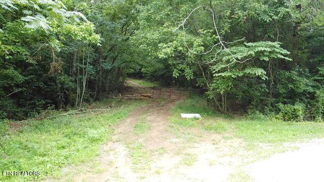 171 acres Scenic River Rd - Photo 1