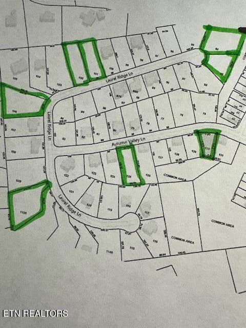 481 Laurel Ridge Lane - Photo 1