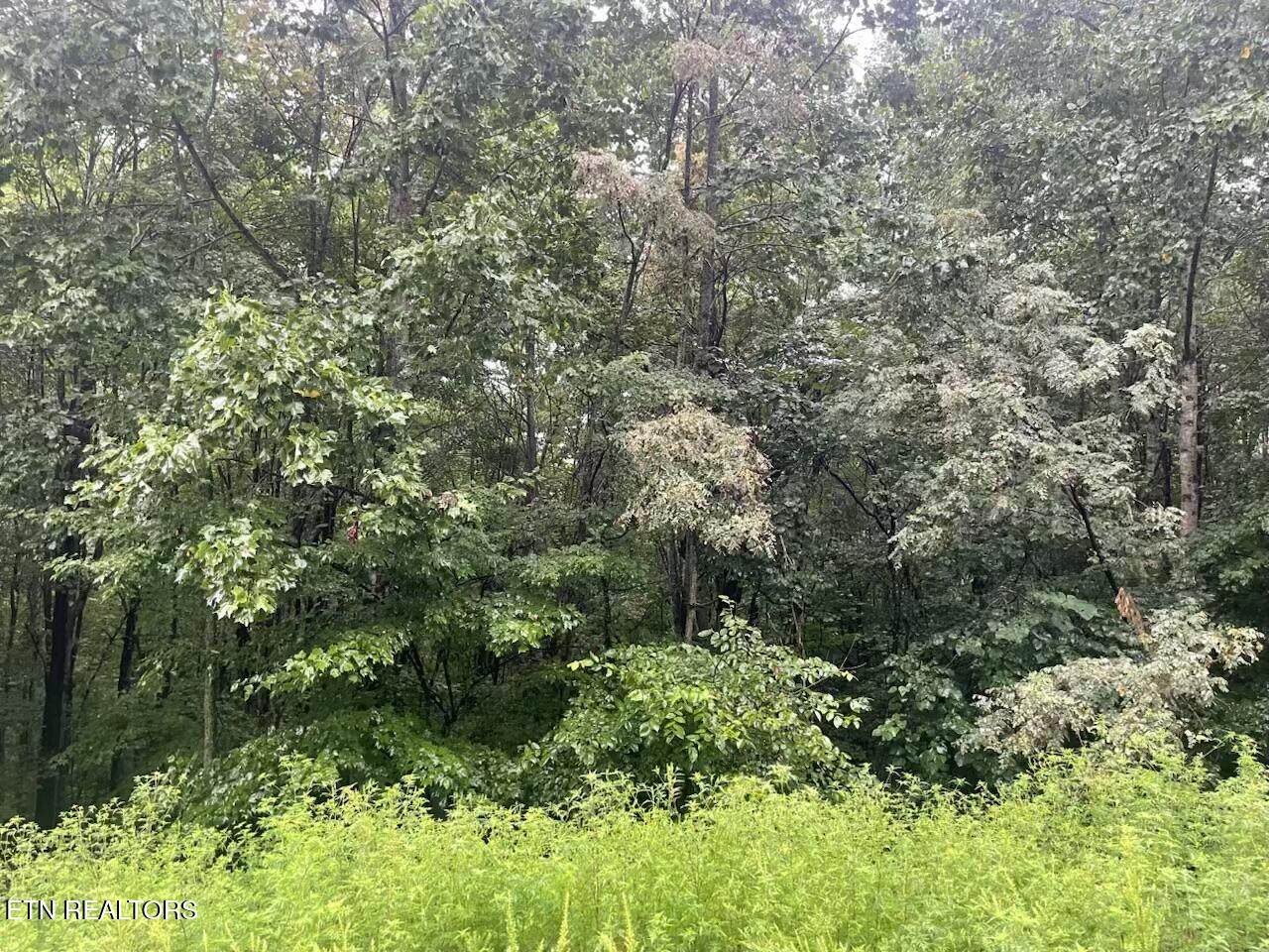  Whistle Valley Rd - Photo 1