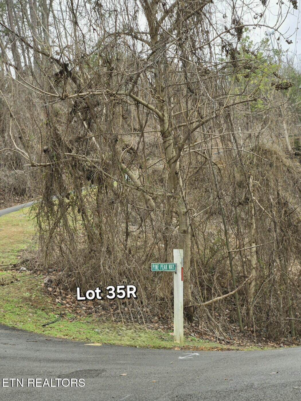 Lot 35R Pine Peak Way - Photo 1