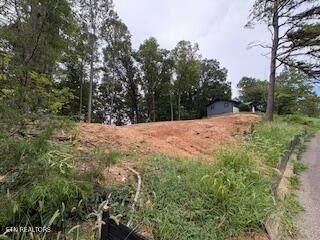 101 Hendrix Drive - Photo 1