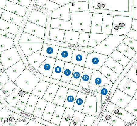 123 Dogwood Ridge Rd - Photo 1