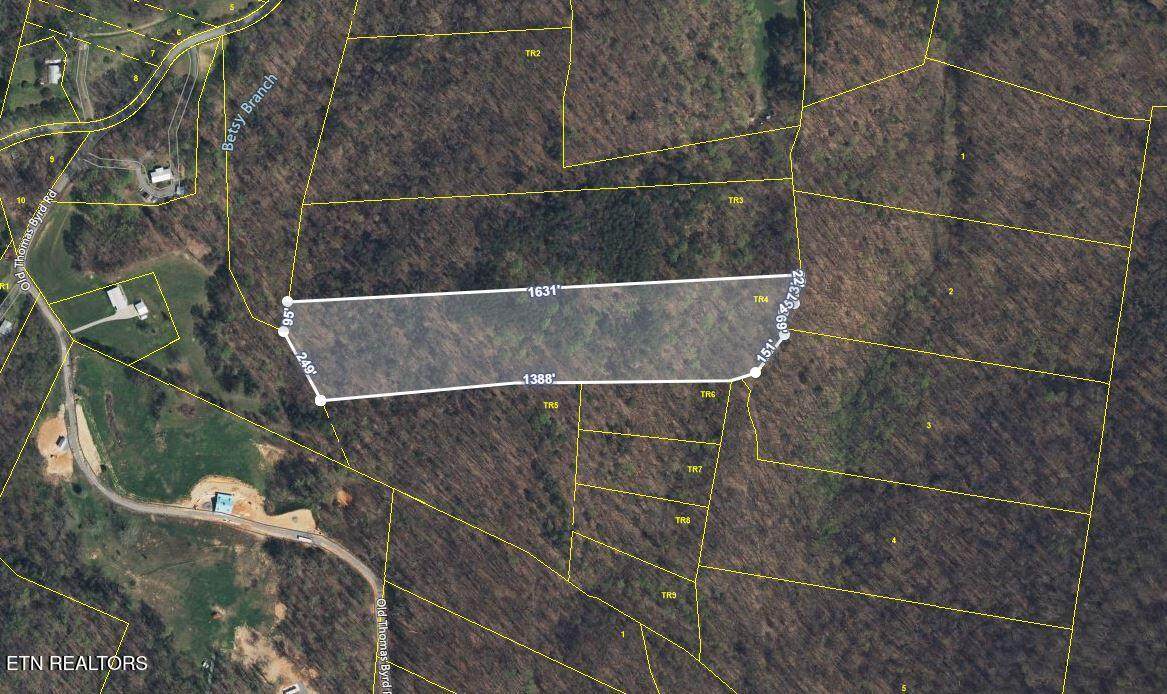 0 Thomas Cross Rd - Photo 1