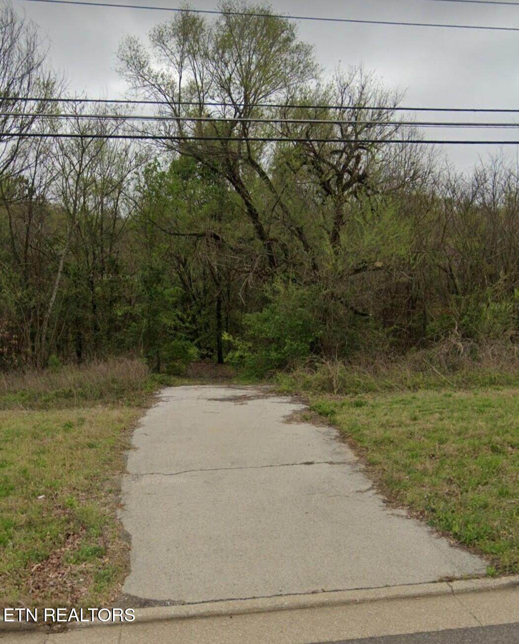  Highway 411 S. - Photo 1