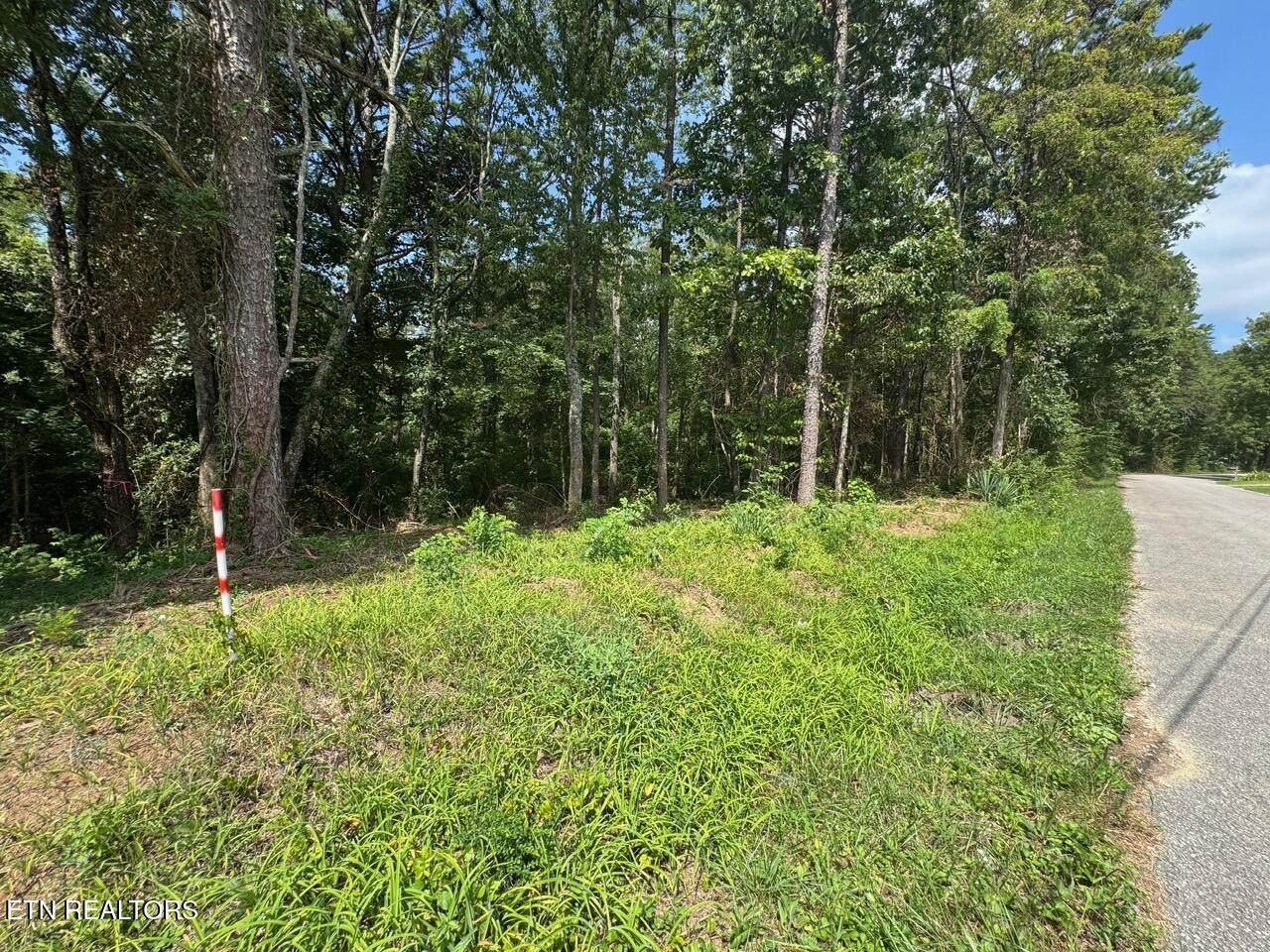  Old Wolf River Rd - Photo 1