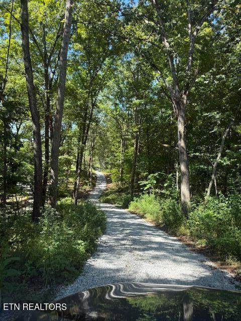 11150 Blackberry Forest Way - Photo 1