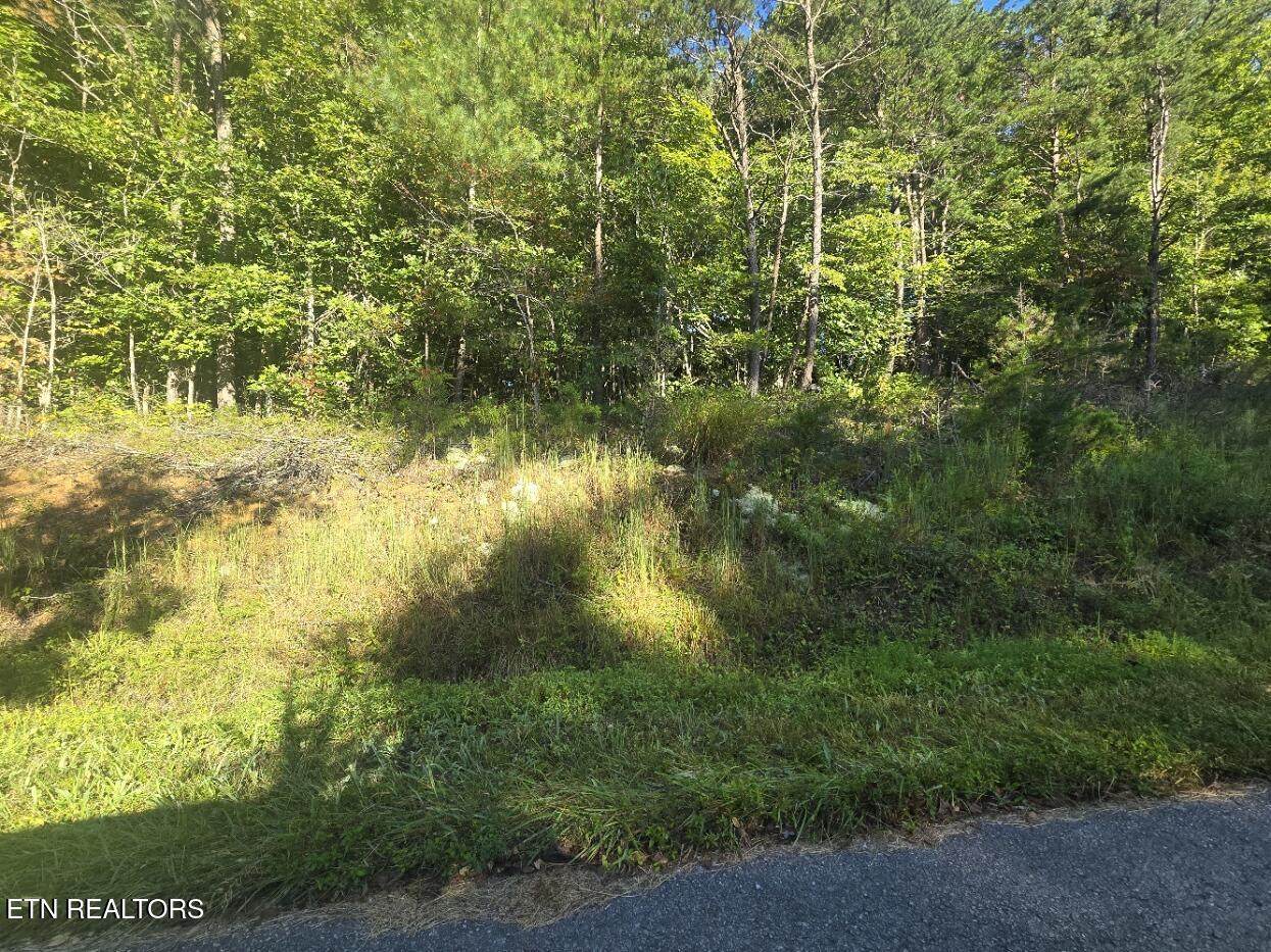 Lot 25-26 Summit Drive - Photo 1