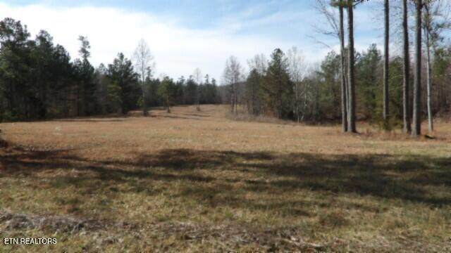 28.30ac Whitson Hollow Rd - Photo 1