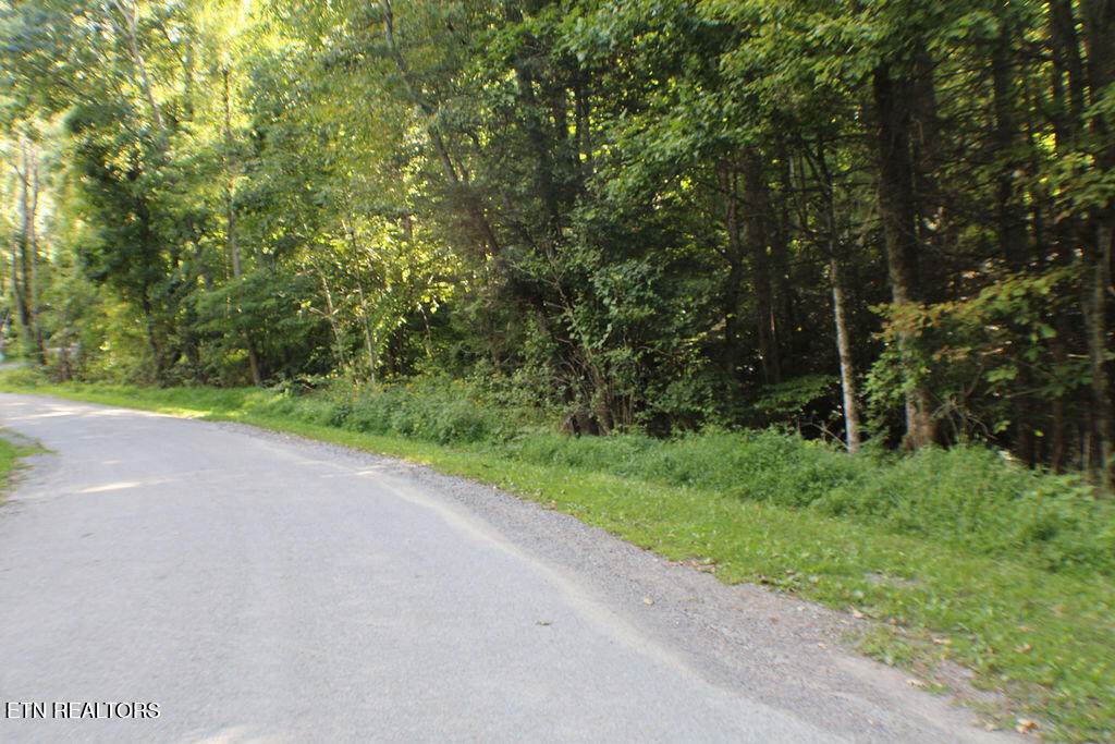  Deer Creek Xing - Photo 1