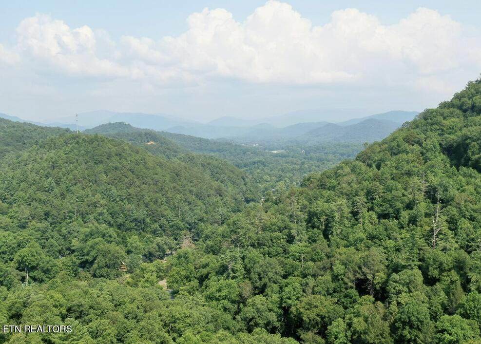 165 Anatole Pass - Photo 1