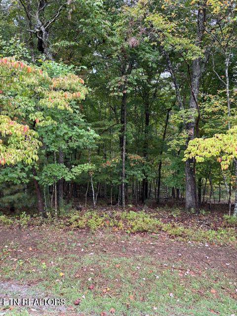 27 Chatham Court - Photo 1