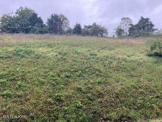 553 Garnet Tr - Photo 1