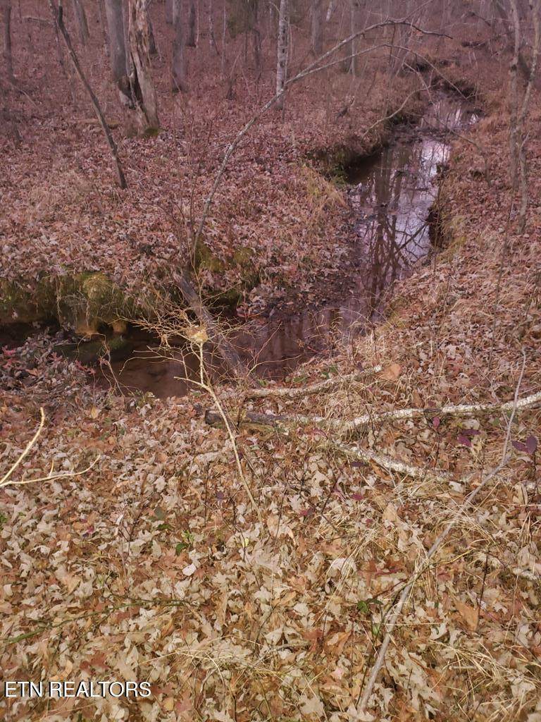 Lot 45 Indian Tr - Photo 1