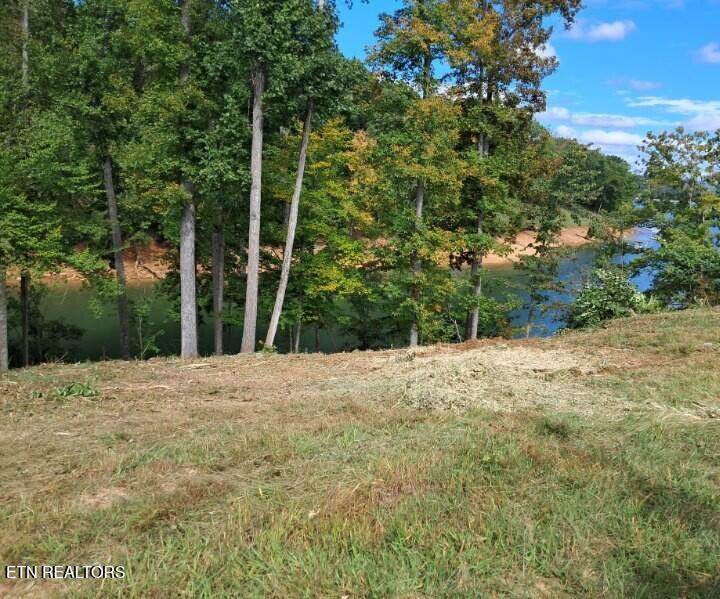 Lot 36 Bridgewater Pointe Blvd - Photo 1