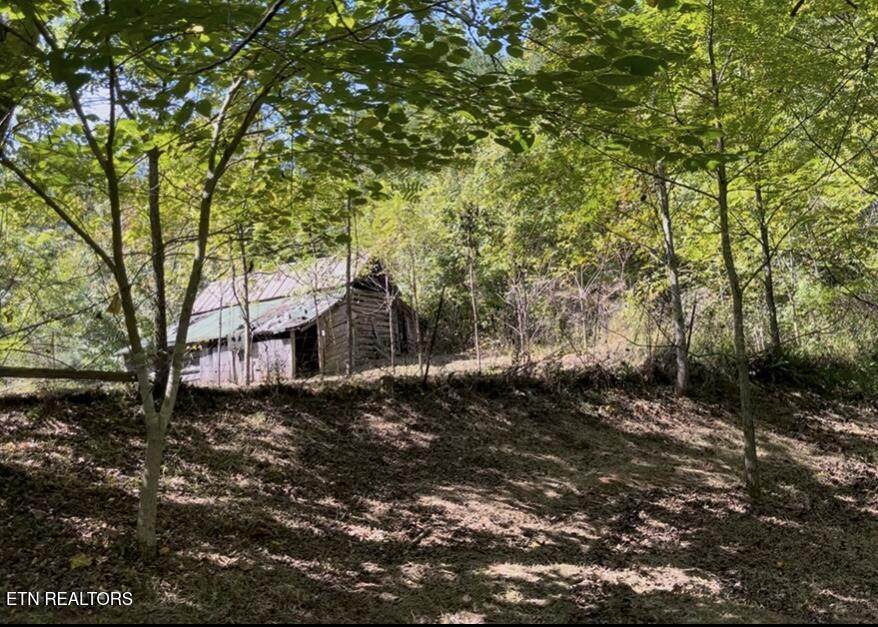 293 Cooper Hollow Rd - Photo 1