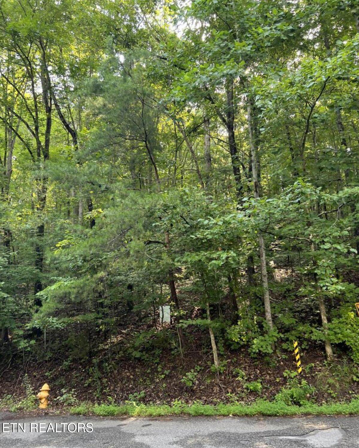  Lot 167 Laurel Lake Circle - Photo 1
