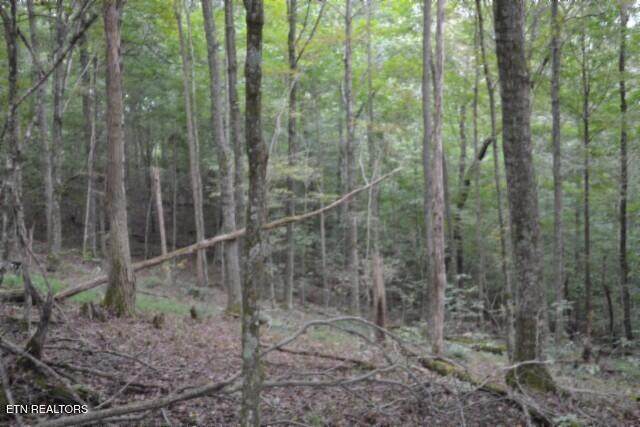 5.78ac West Lane - Photo 1