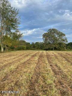 520 Lowe Rd - Photo 1