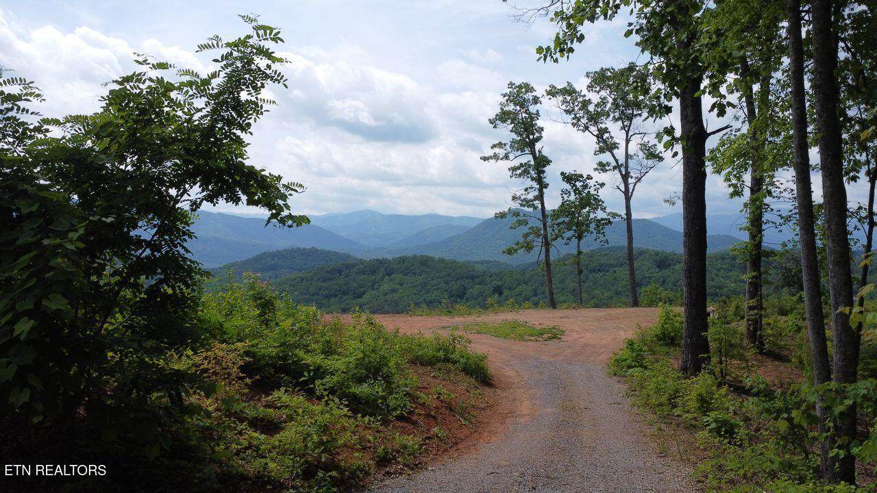  Chamberlain Ln Lane - Photo 1