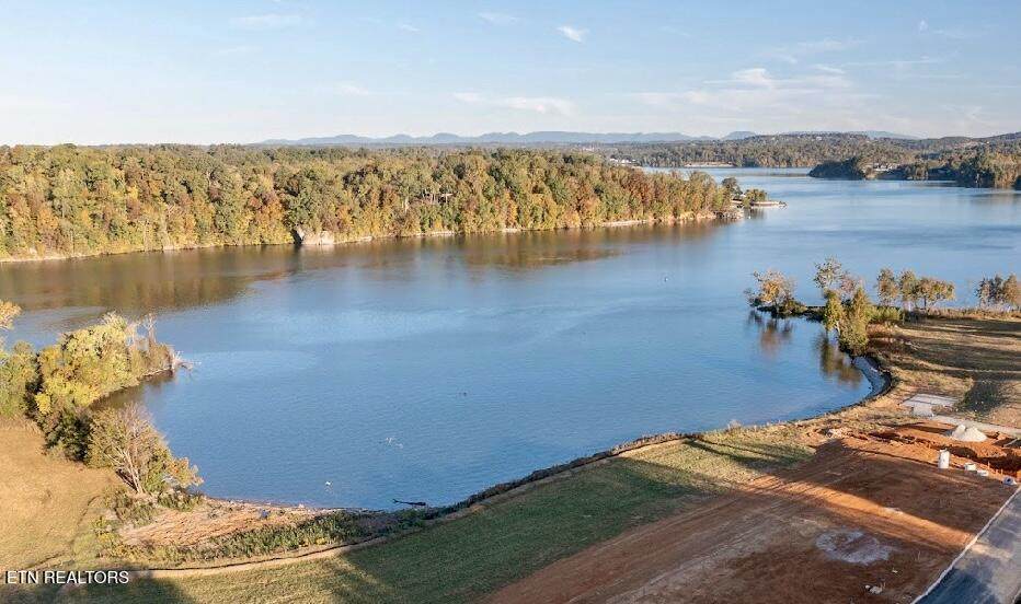 419 Arcadia Peninsula Way - Photo 1