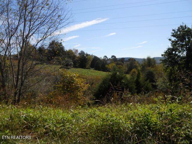 0 French Rd - Photo 1