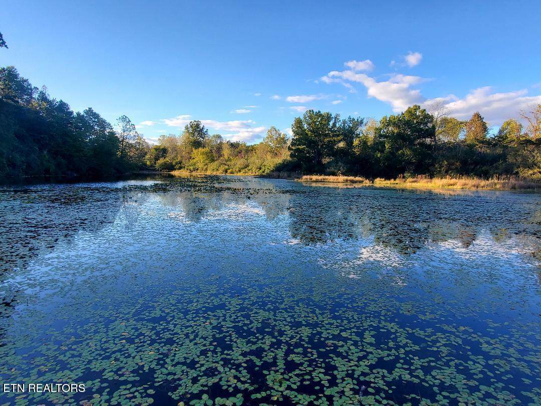 2036 Helenwood Detour Rd - Photo 1