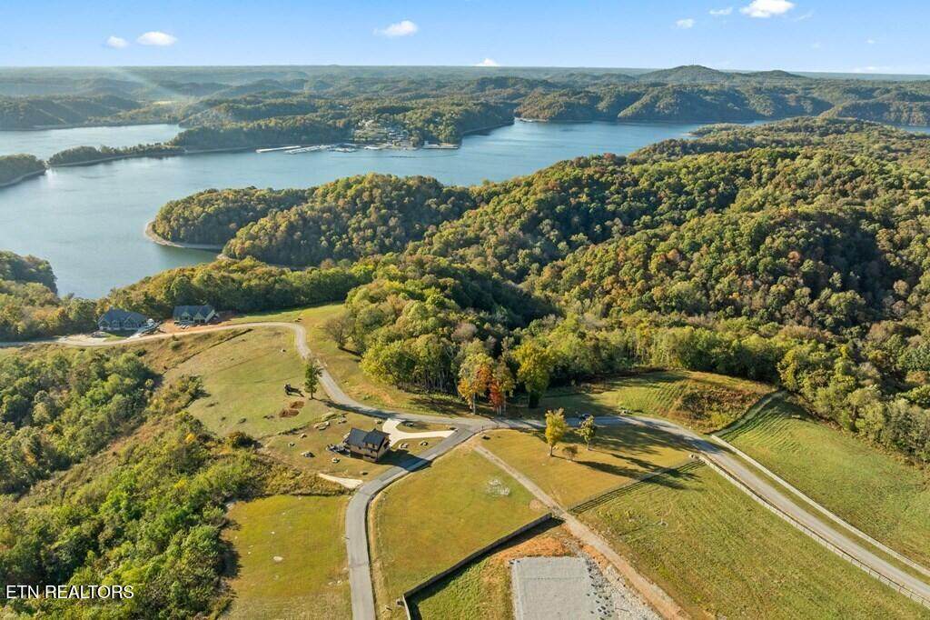  Bald Eagle Lane - Photo 1