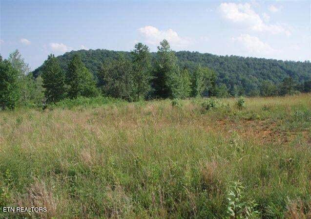  Blue Heron Bluff - Photo 1