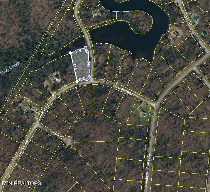  Laurel Loop - Photo 1