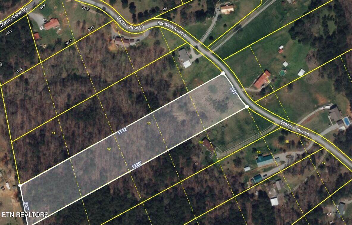 140 Scenic View Lane - Photo 1