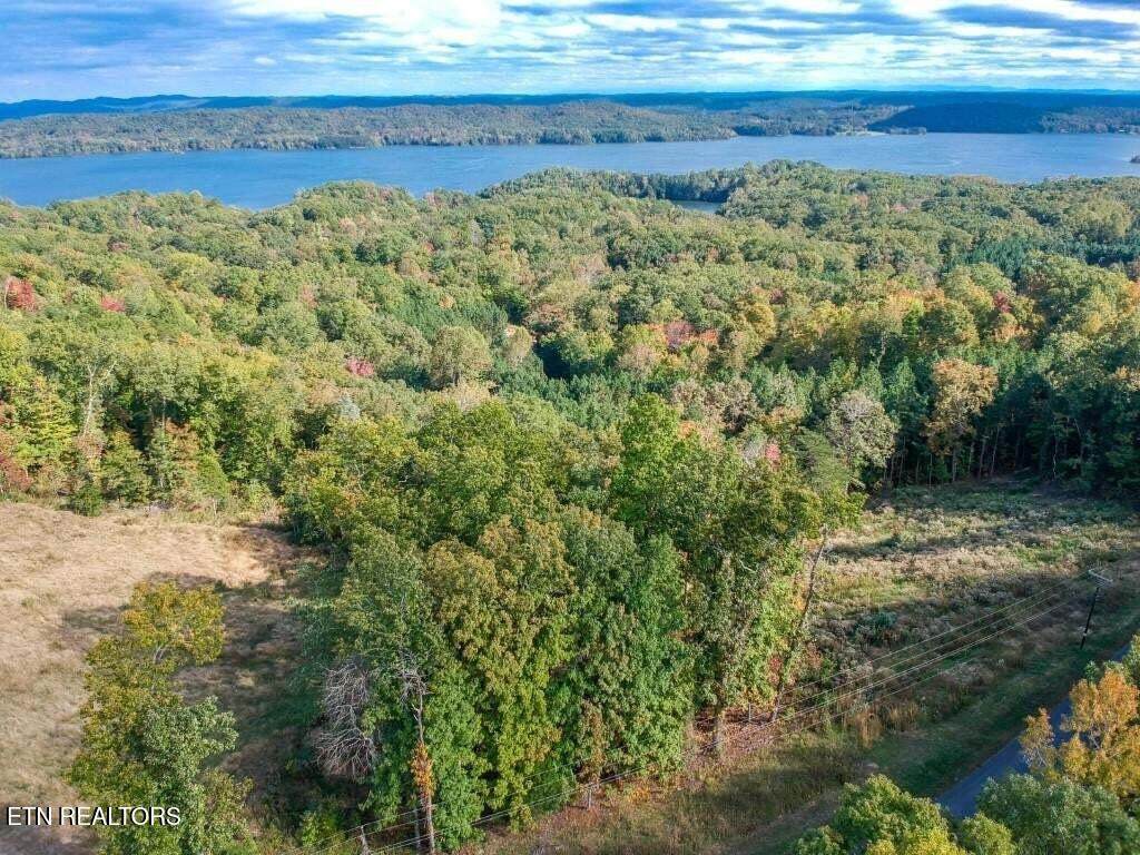 Lot 272 Spruce Drive - Photo 1