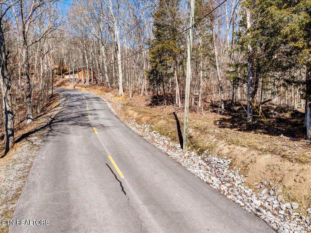 273 Chelaque Way - Photo 1