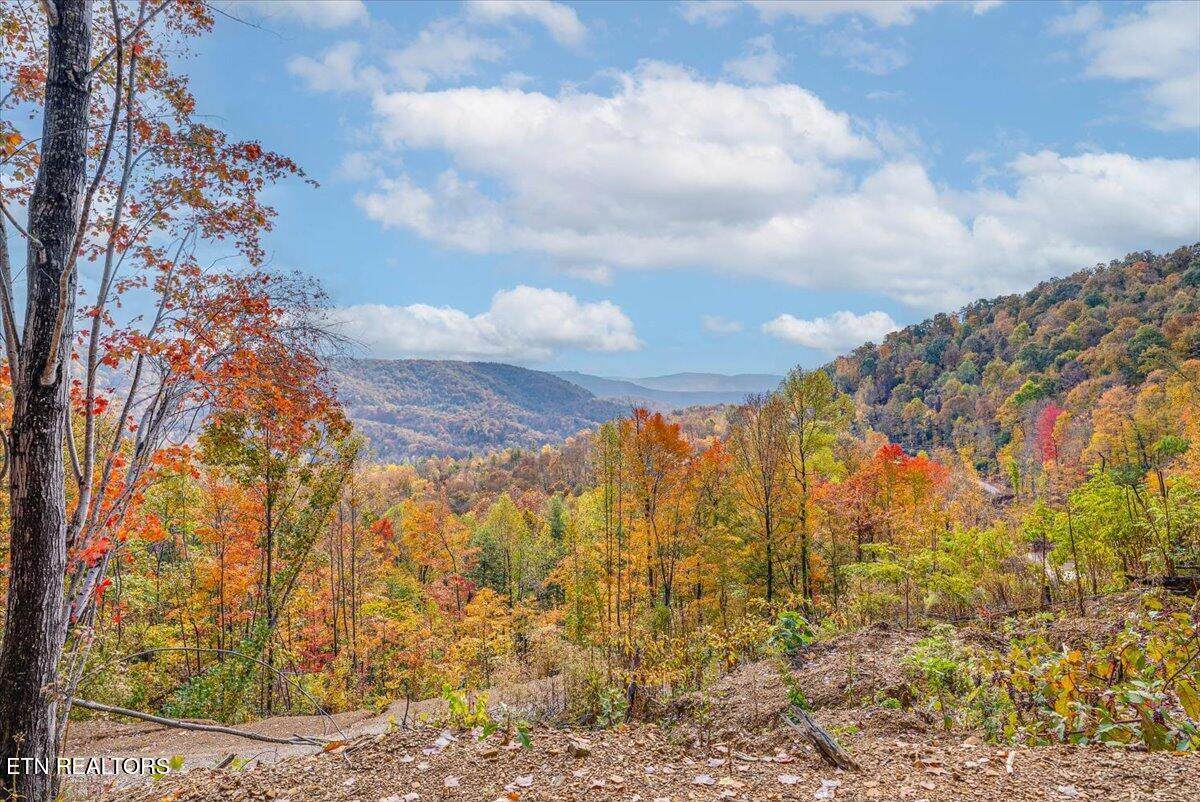 00 Buffalo Rd - Photo 1