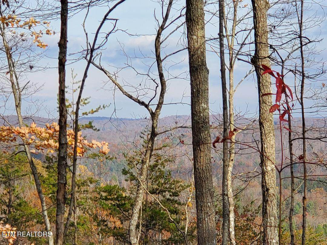  Atv Hilltop Lot H Rd - Photo 1