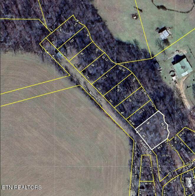 0.19 ac Norris St - Photo 1