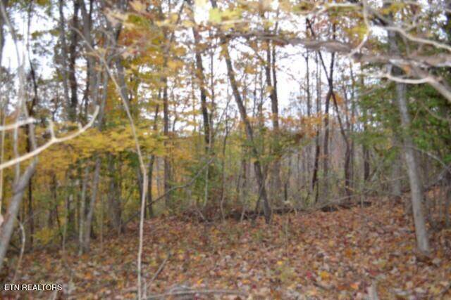 10.70ac Red Oak Ridge Rd - Photo 1