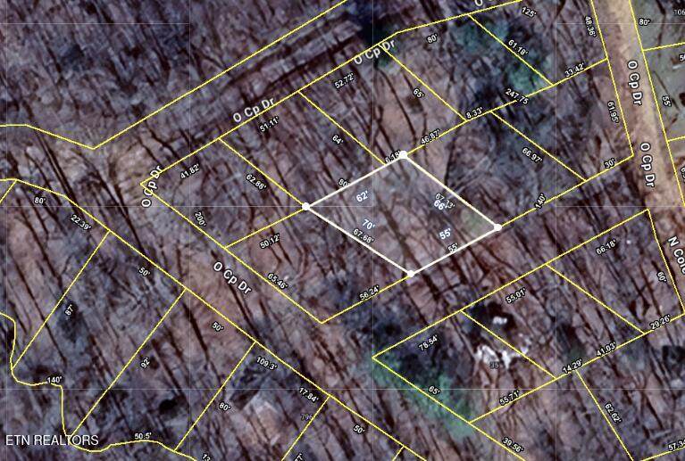 08 ac Bilbrey St - Photo 1