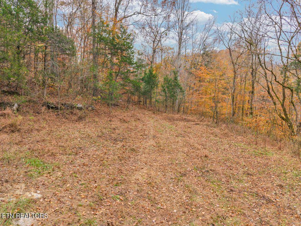 0 Ensor Hollow Rd - Photo 1