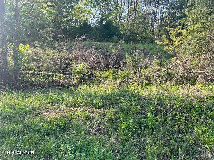  Vardy Blackwater Rd - Photo 1