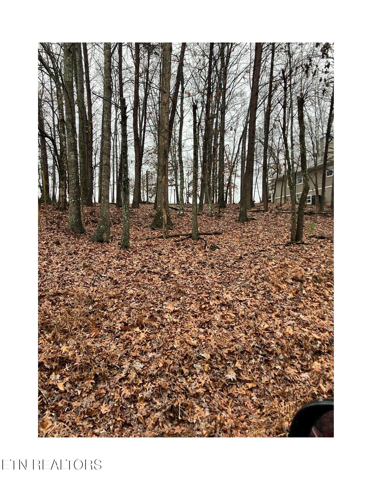 16 Berkeley - Photo 1