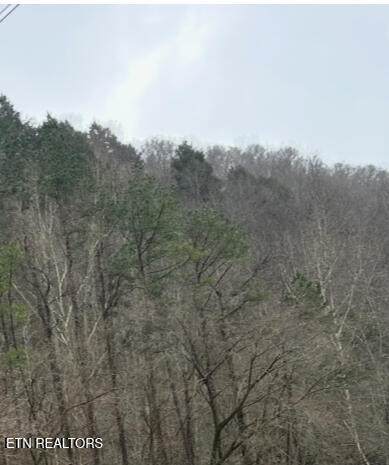 TBD Hwy 38 - Photo 1