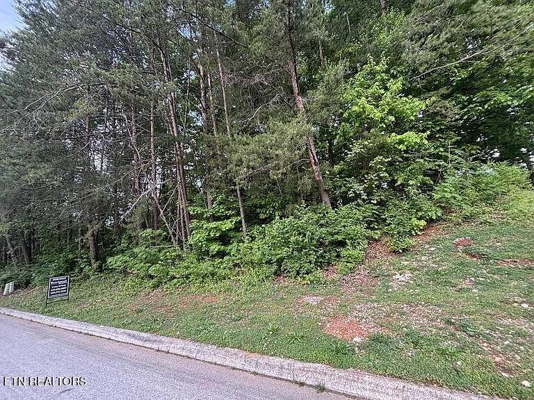 1012 Saint Johns Drive - Photo 1