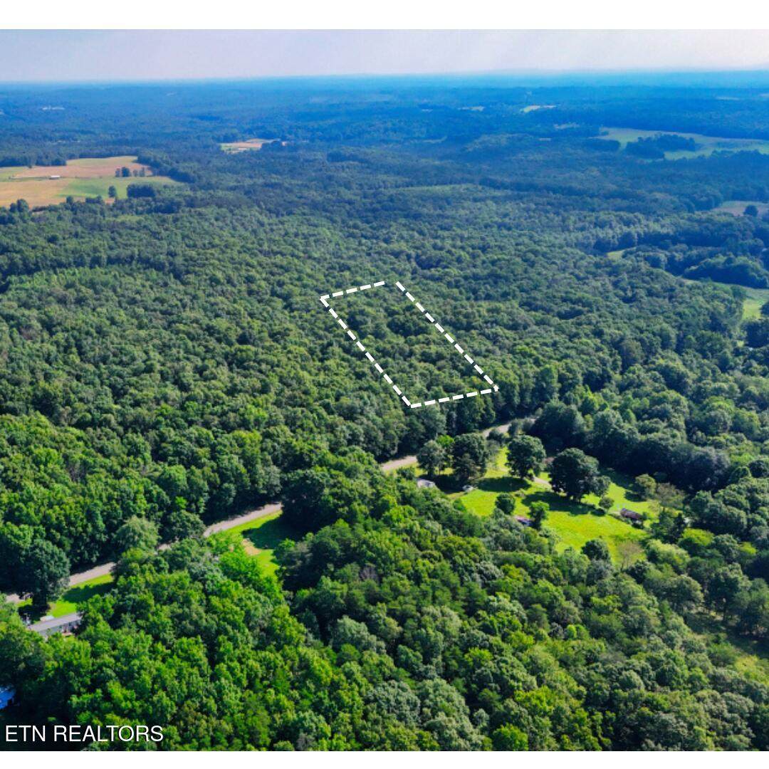 Lot 8 Turkey Blind Rd - Photo 1