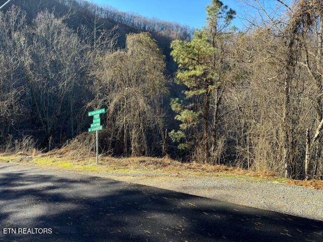 n/a Balsam Slopes Rd - Photo 1