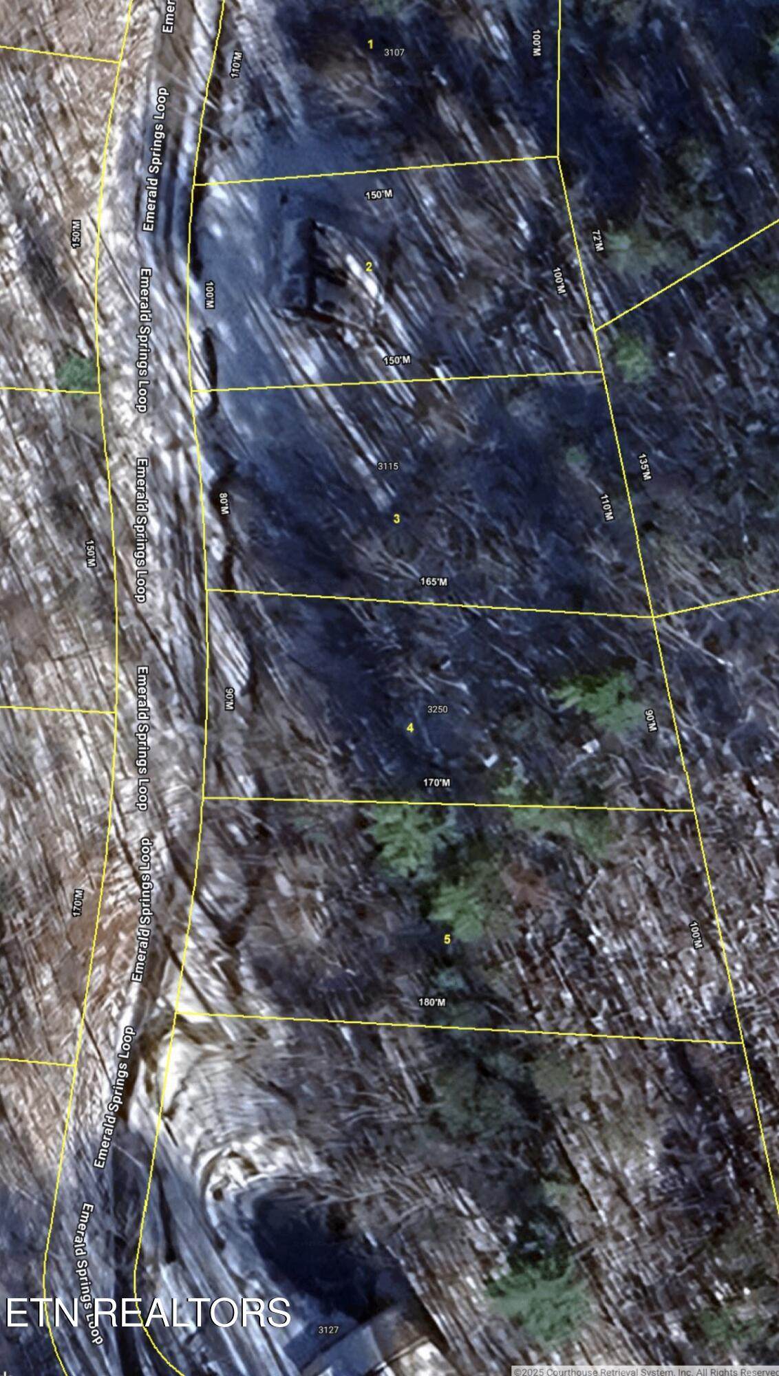 Lot 4 Emerald Springs Loop - Photo 1